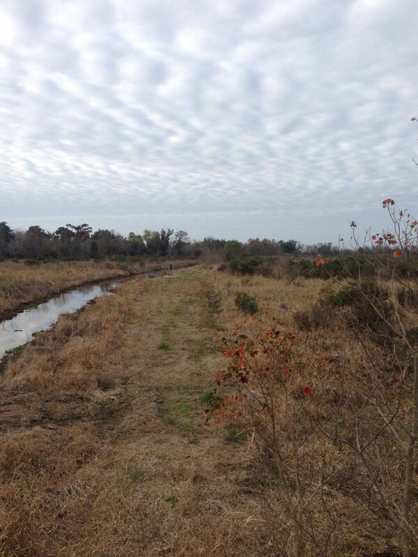 PBD_Diesel_Perf's tweet photo. Deer hunting #gatortail http://t.co/2xm7qYM7q9