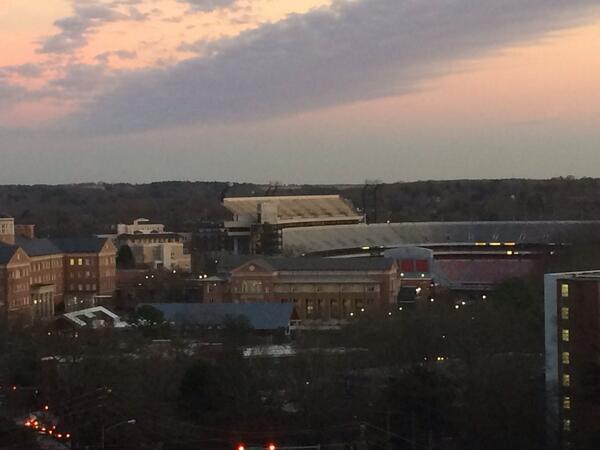 Fake Murray tweet media