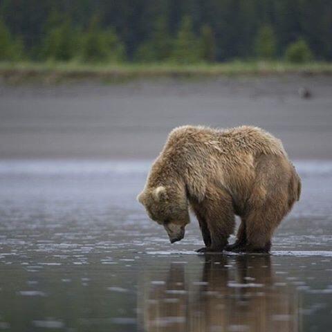 RedRocketsHawai's tweet photo. Teach your children to appreciate nature so they will care to protect it. http://t.co/ESfivS8nNQ