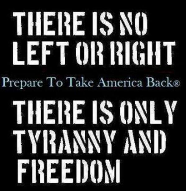 RightWingTX's tweet photo. It is time for America to choose, do we want Big Government or Self Government, tyranny or Freedom http://t.co/1CNLj1tLcd