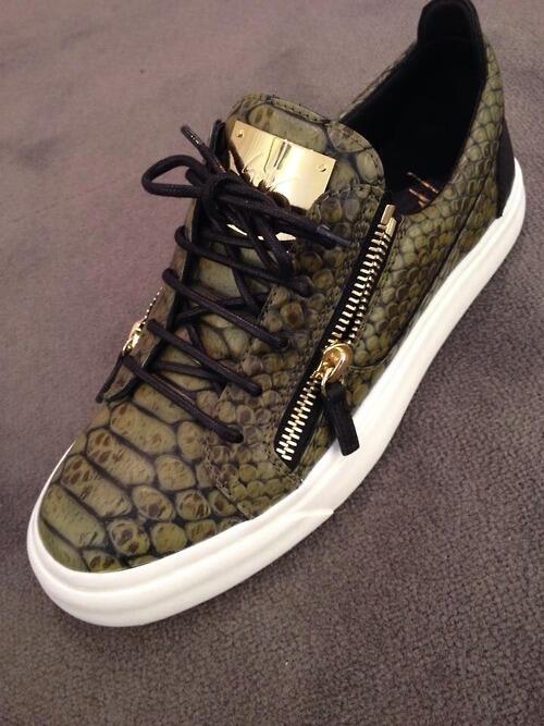 zanotti 2014