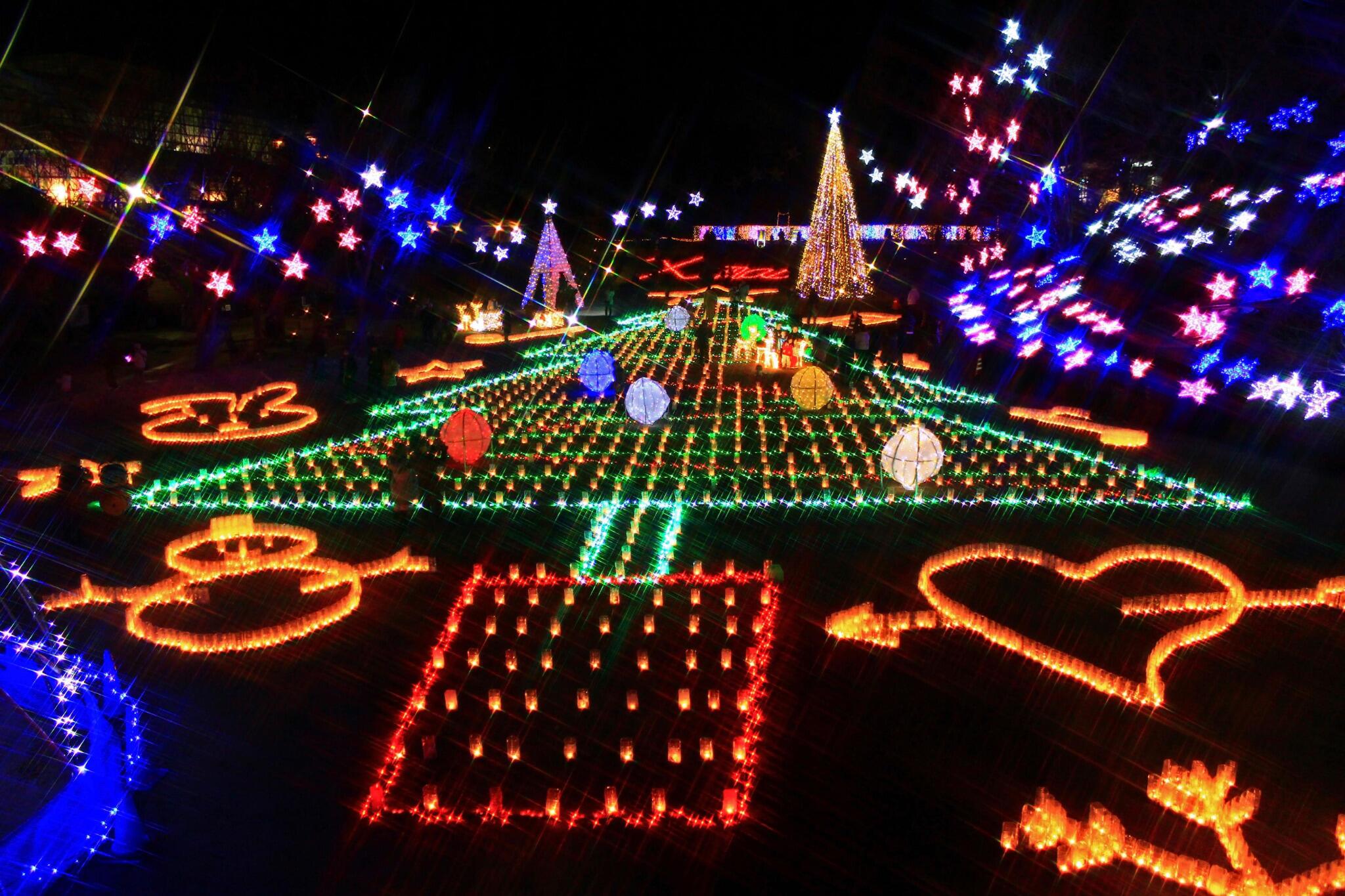 تويتر 広島県 على تويتر 広島市植物公園で土日祝に開催中の 花と光のページェント キャンドルとイルミネーションが冬の植物公園を幻想的な空間に 12 23まで Http T Co 9stkjmjq4o Hirokouhou Hiroshima Http T Co Ycqqpteles