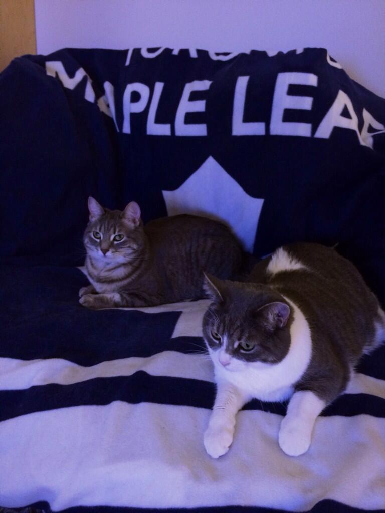 アイスホッケーｎｈｌ情報