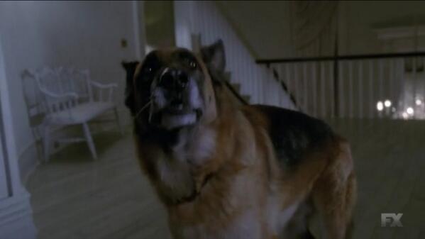 CovensProtector's tweet image. 