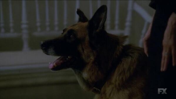 CovensProtector's tweet image. 