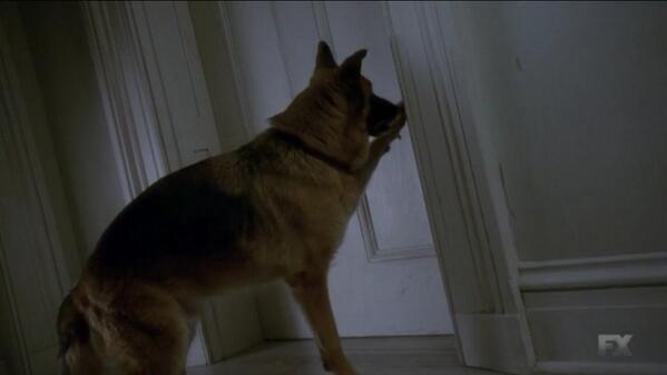 CovensProtector's tweet image. 