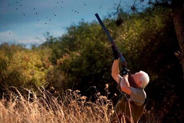 DovesandDucks's tweet photo. Who's ready for some #ArgentinaDoveHunting? Contact us now for #endoftheyearspecials! #dovehunting #dove #hunting http://t.co/wG05ZLEHR8