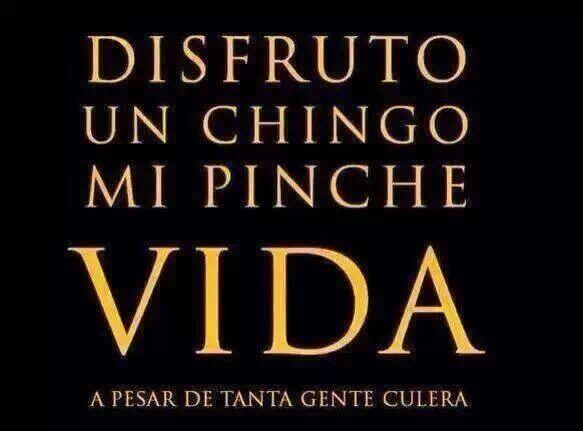 ChulaLupe's tweet photo. http://t.co/QWwkEshhiT