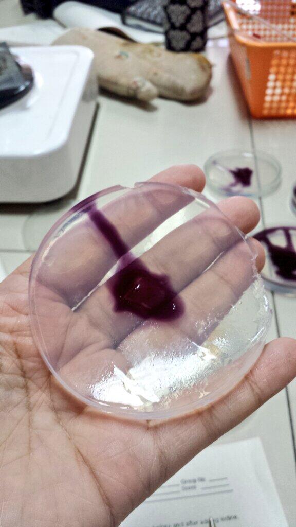 shienuh_'s tweet image. Blueberry gelatin hahaha! Jk. Iodine lang yan sa gelatin. #bio102