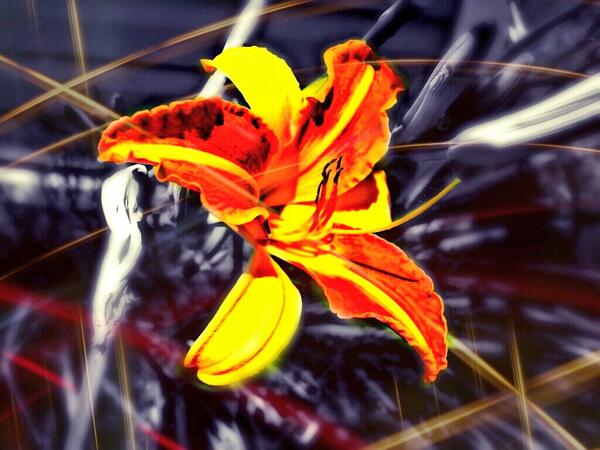 Shellbell6721's tweet image. I like photography...this is just a pic I took tell me what yall think!!!