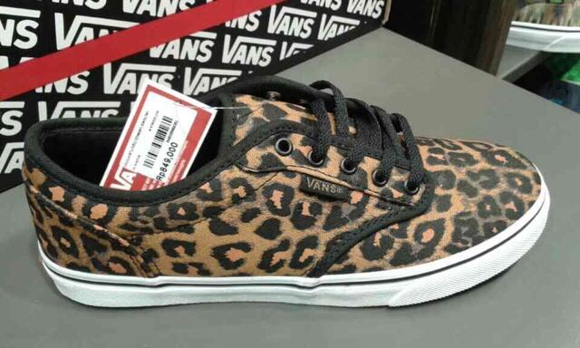 Vans top store kokas