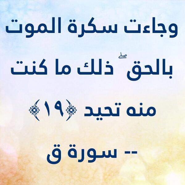 VIP55594988 tweet picture