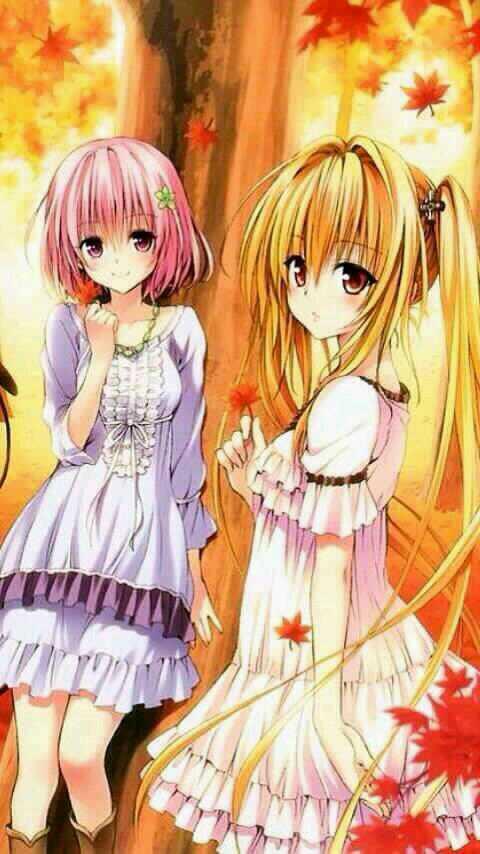 saaatori0219's tweet photo. @0402Takashimanz 
この、ツインテールのヤミお気に入りwww http://t.co/v9DBcawcwD
