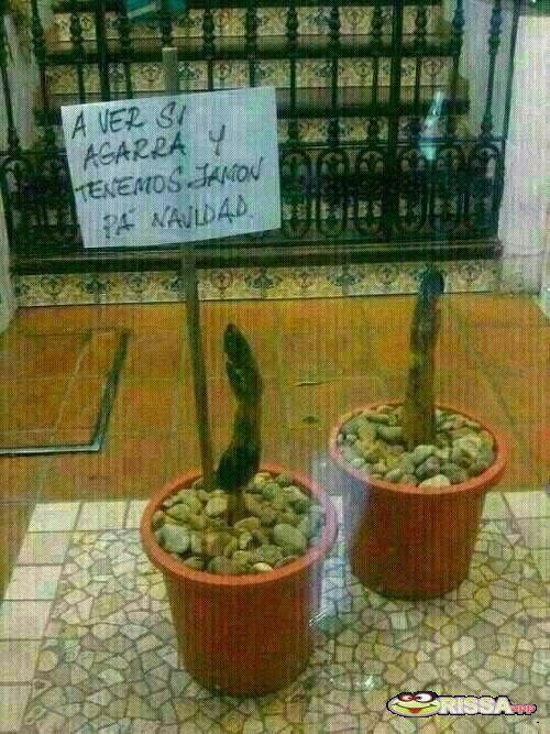 manumorecant's tweet photo. #NUNCAPERDERLAESPERANZA http://t.co/CYgVUud58l