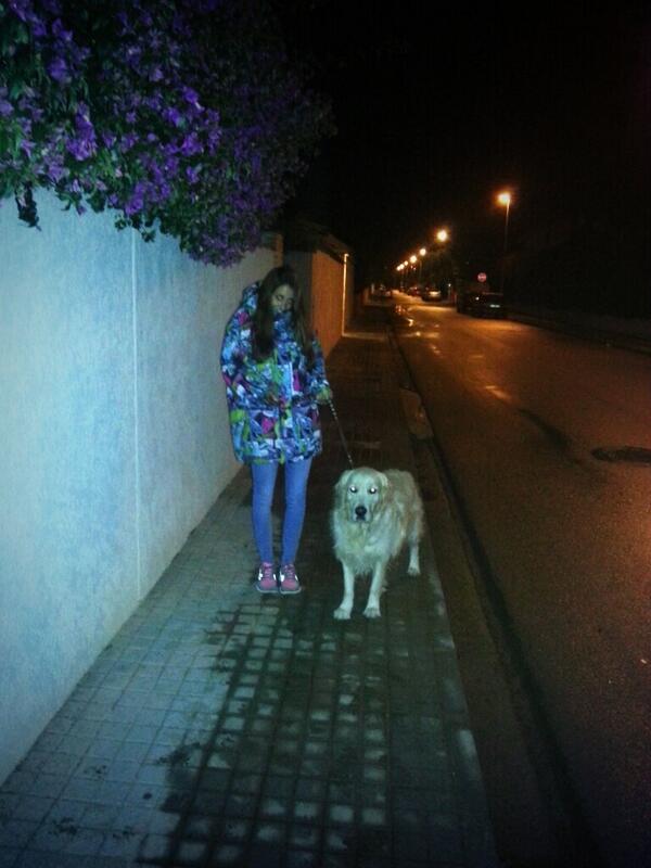 Vitalyvilkov's tweet photo. Echando de menos a mis dos bichos... @martiipastor  #Larry Q ganas de veros!! http://t.co/8roOrMLpFw