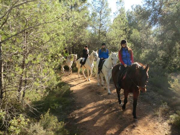 navalonturistic's tweet photo. Rutas a #caballo por la sierra de #navalon, en #valencia. Entra en nuestra fan page http://t.co/apYl9W95Jz http://t.co/iLyYfM7mYr