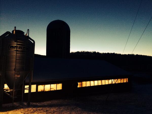 Orb Weaver Farm (@orbitweaver) on Twitter photo 