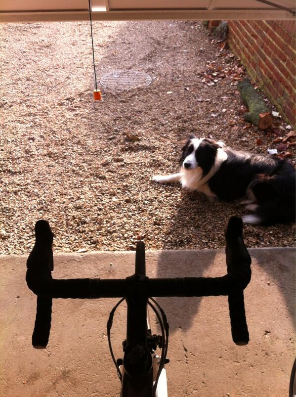 EmmaHancock3's tweet photo. can't beat this cutie for company http://t.co/d6ts4Z79u1