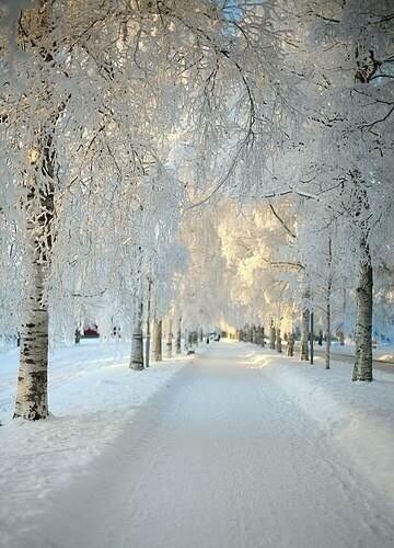 isaivida77's tweet photo. @NationalGeograC: Increible invierno en #Alemania. http://t.co/Qp8QmaH0fr