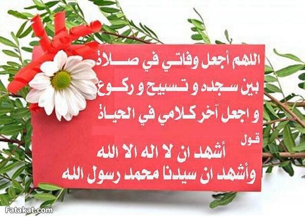 AlshammariHind's tweet photo. اللهم أجعل وفاتي في صلاة بين سجده وتسبيح http://t.co/1a7b9YuRJK