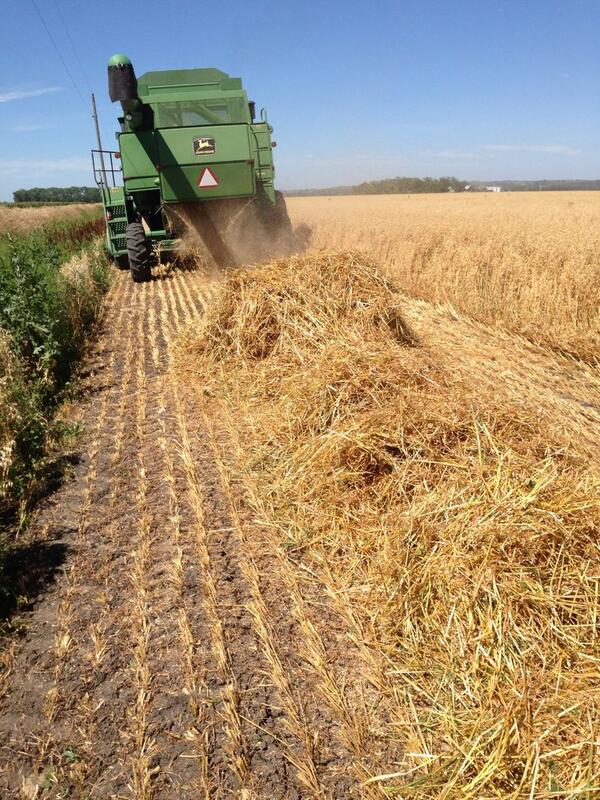 geary_12's tweet photo. I miss summer! #farmwork #oatcombining @Countrykidsprob @farmerpics @Farmer_Problems http://t.co/OynCogbAjB