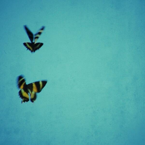 hyperspacealien's tweet image. 