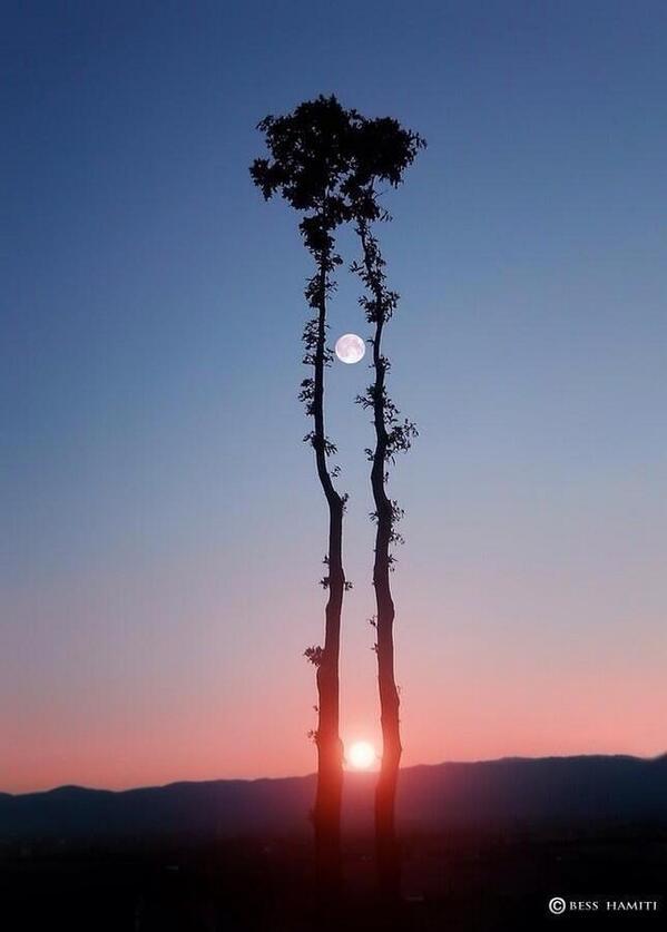 rybotics's tweet photo. Sunset into moonrise http://t.co/sAqL3BVRhP