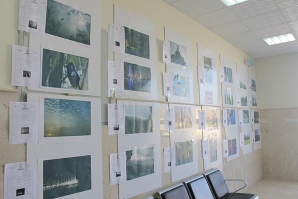 الصور الفوتوغرافية المشاركة ...