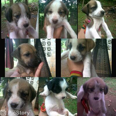 MamyRika's tweet photo. #PicStory http://t.co/MXrF0vsZDy http://t.co/OZDRA7gzxA
