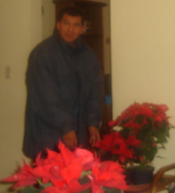 ambiente de hogar fin de año