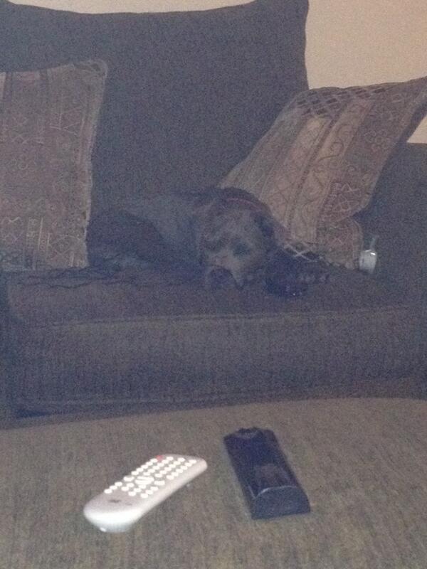 Driq_Harris's tweet image. We 😚💨🍃🍂🍃🍂⛽️⛽️ 🌚🌚 as fuck‼️ #Kane