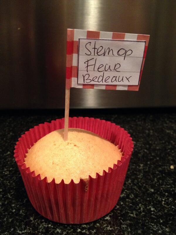 macfleurys's tweet image. Stem op mij voor nieuwe MR lid #hpc