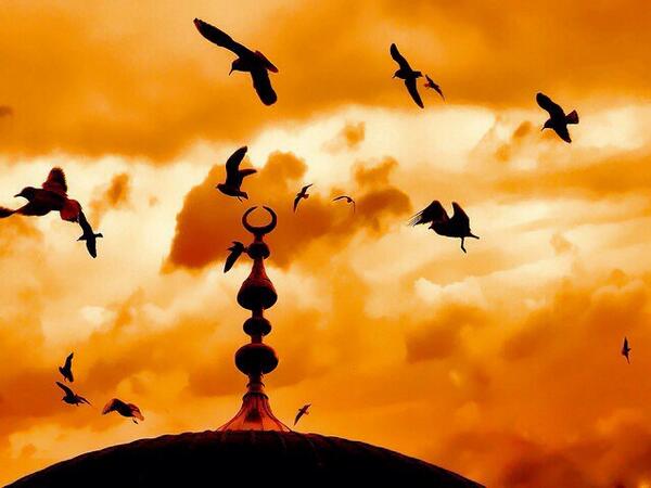 #HerZamanSulhYolunda sevgi ve hoşgörünün sesi olmalıyız.