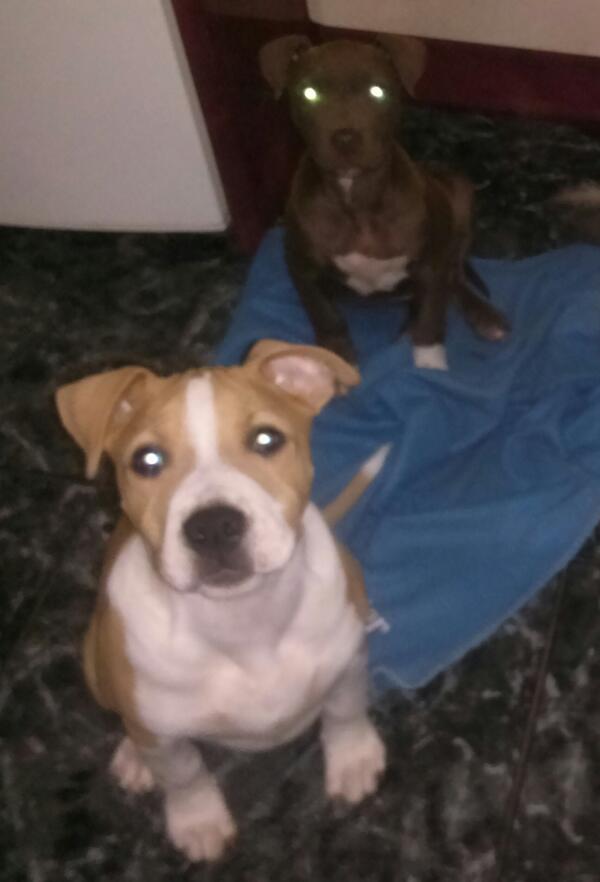 sandii880's tweet photo. Los kiero con locura a mis gordiis http://t.co/U2EtgVAxQi