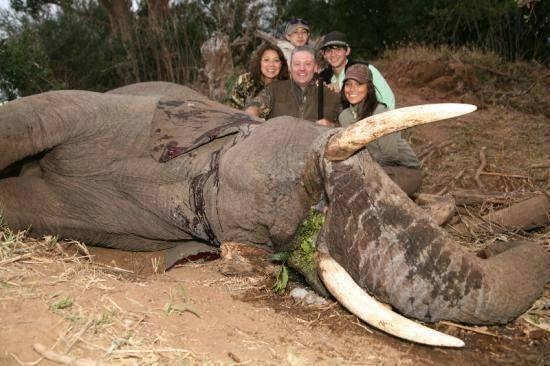 _Paisajes_'s tweet photo. Vamos a hacerlos famosos, veo 5 animales y 1 elefante. http://t.co/JyRy3a05Wj