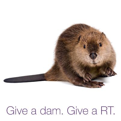 Retweet this post to show you give a dam. For every mention of #HomeTweetHome, we will give $1 to @WWFCanada!