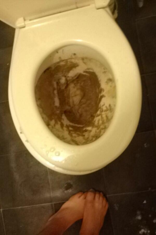 jacklowe93_'s tweet image. Hahahahahaha our toilet is so shit #seededbread