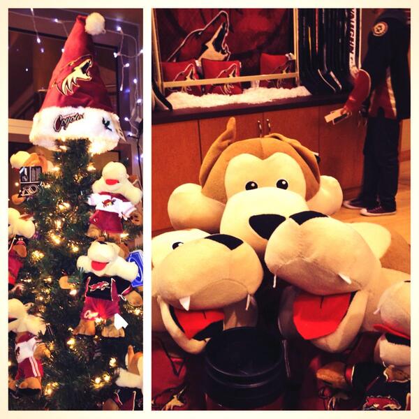 arizona coyotes team store