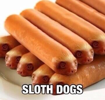 MorphSloth's tweet image. Sloth Dogs #yummy