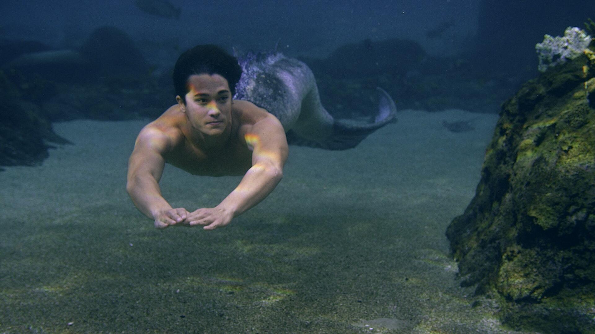 Mako Mermaids on X: Welcome back @ch8i Chai Romruen to return as merman ZAC  #makomermaids season 2  / X