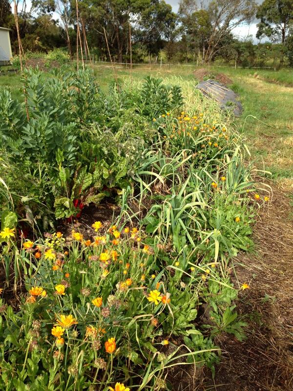 Hugel beds doing just what they should