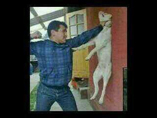 SharonParagon_'s tweet image. LMFAO! Haha! #NowFollowingBack RT @roooosta: U gone follow back or nah? *Pic @ThatGirl_Shazzy