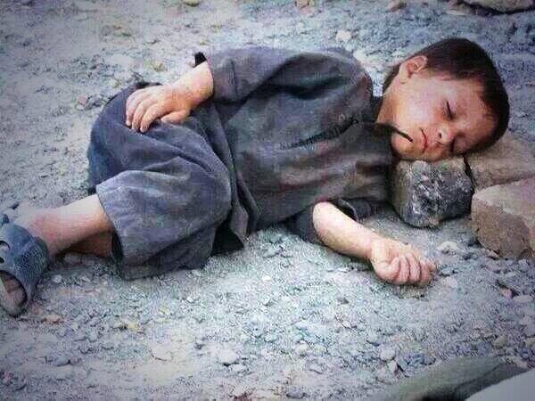 محمد العوضي tweet media