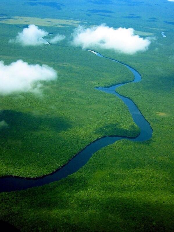 arist_brain's tweet image. En vuelo al Salto del Angel. #Venezuela (by Gonzalo Pereira Puchy) #photo #travel #landscape #river #nature #green