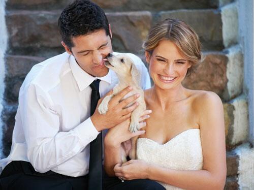 Betrek je je huisdier wel of niet bij je trouwdag? bit.ly/JdZXMD