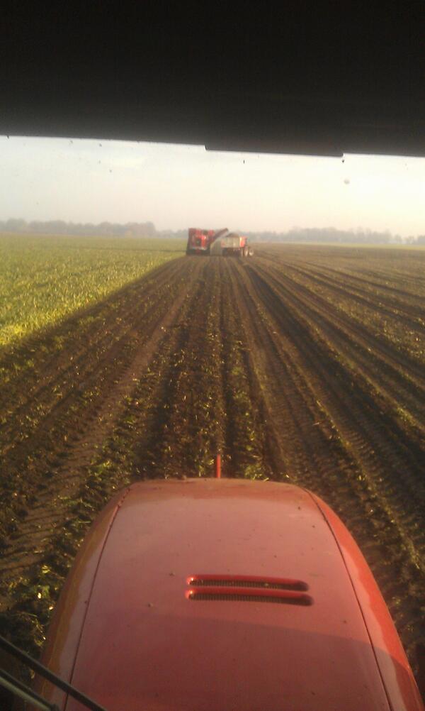 riksteenge's tweet image. 