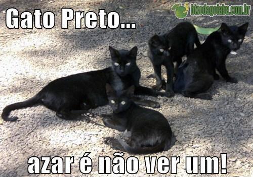 GATO PRETO E.C