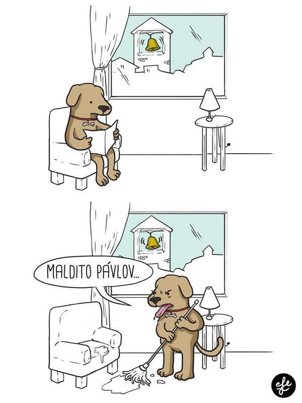 PostureoPsico's tweet photo. ¡Maldito Pávlov! vía @efe_material http://t.co/cUMHUVU2rB