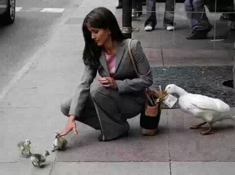 TWEETsORACLE's tweet photo. Gosh!!! "@Damite2ky: Oshodi brought-up Bird >>> http://t.co/vwnrvmntut""