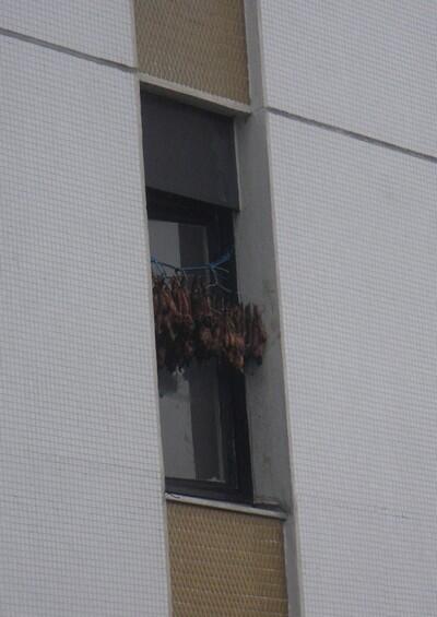 emelineprovost's tweet image. Dead rabbits hanged at my neighbor's window (8th floor, just sayin)
#everythingisnormal #chineseneighbourhood